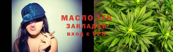 молекула духа Михайлов