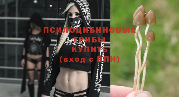 эйфоретик Михайловск