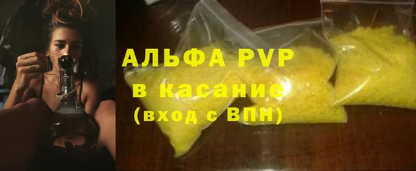 молекула духа Михайлов