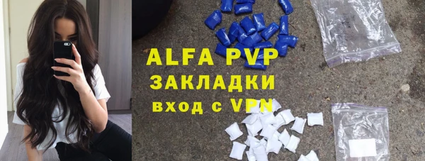 молекула духа Михайлов