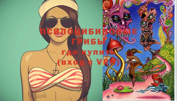 молекула духа Михайлов