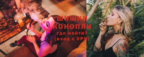 молекула духа Михайлов