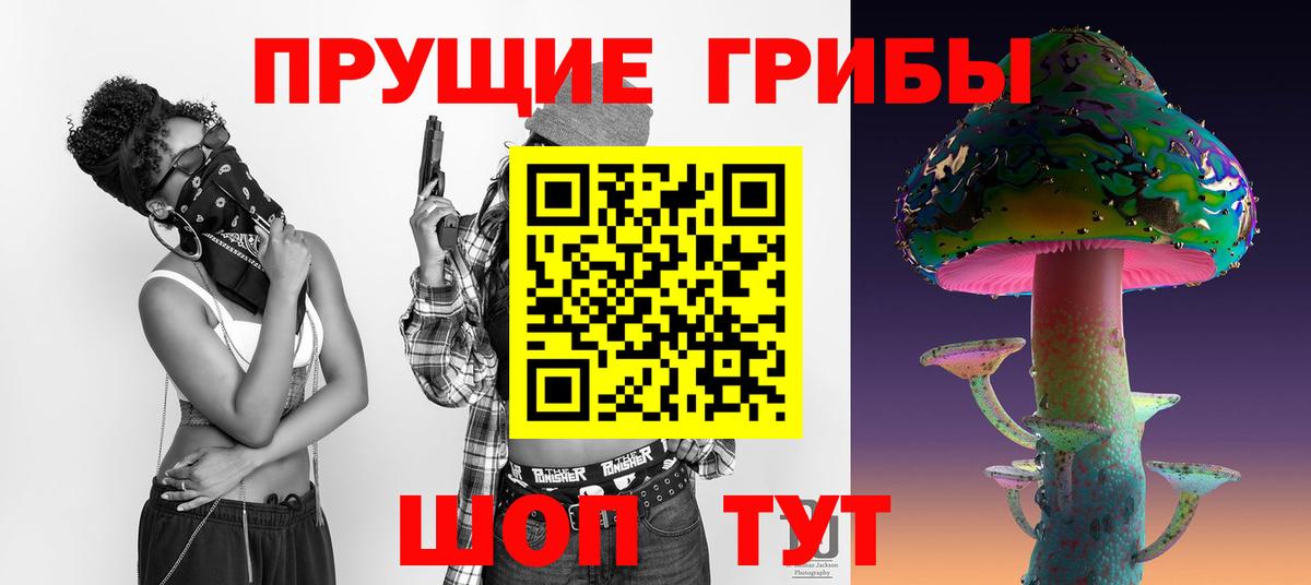 Галлюциногенные грибы Psilocybe Баксан